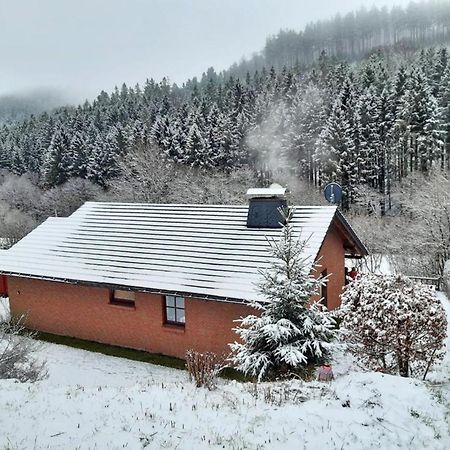 Ferienhaus Becker Willingen  Exterior foto