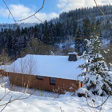 Ferienhaus Becker Willingen  Exterior foto